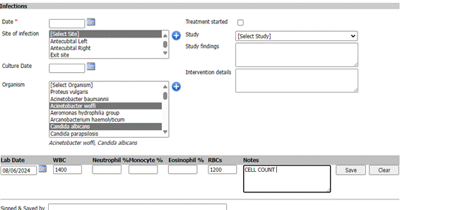 A screenshot of a computerDescription automatically generated