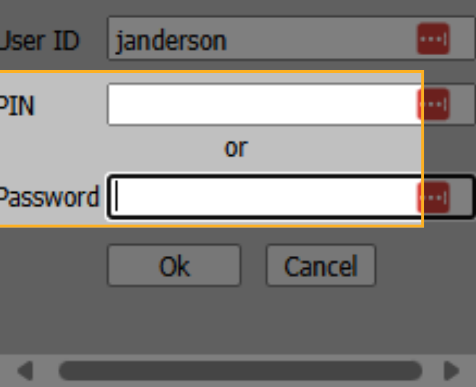 Click '[PIN or Password]'