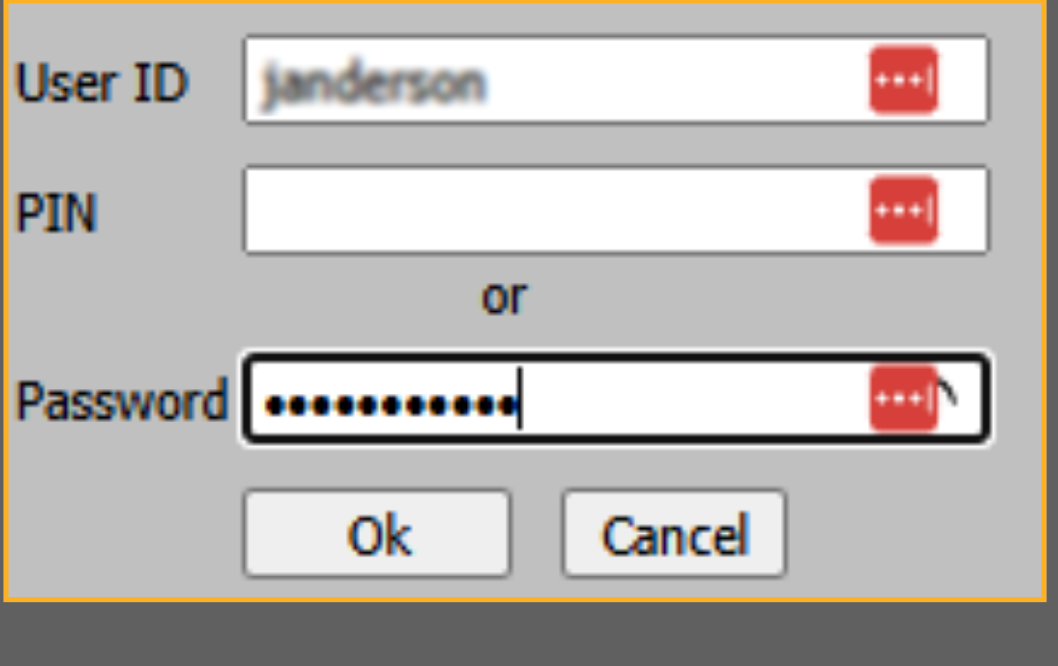 Confirm Password Entry