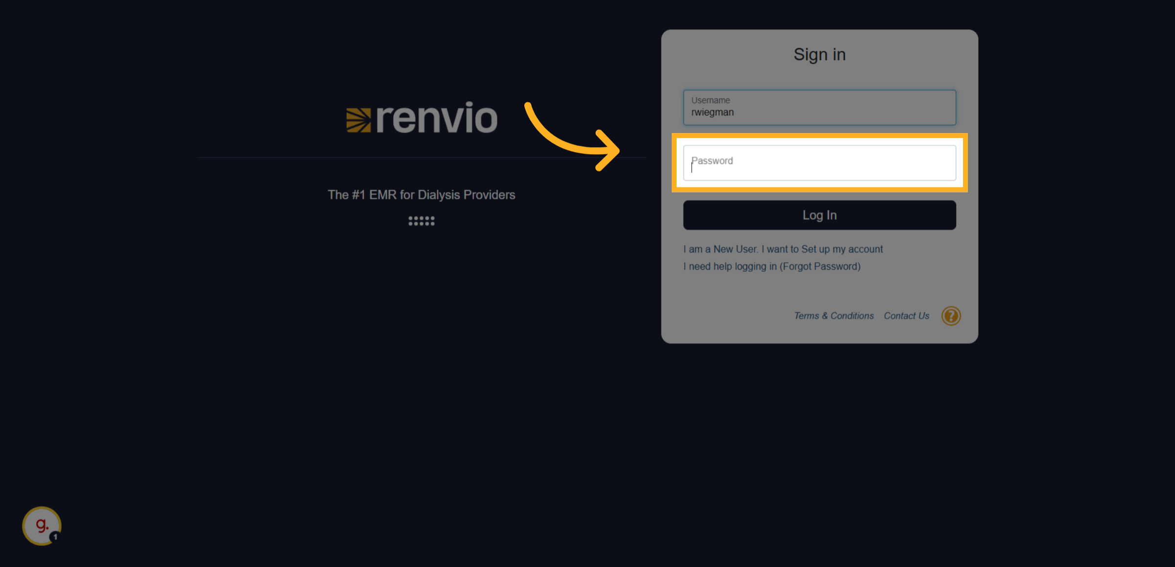 Click 'Password'