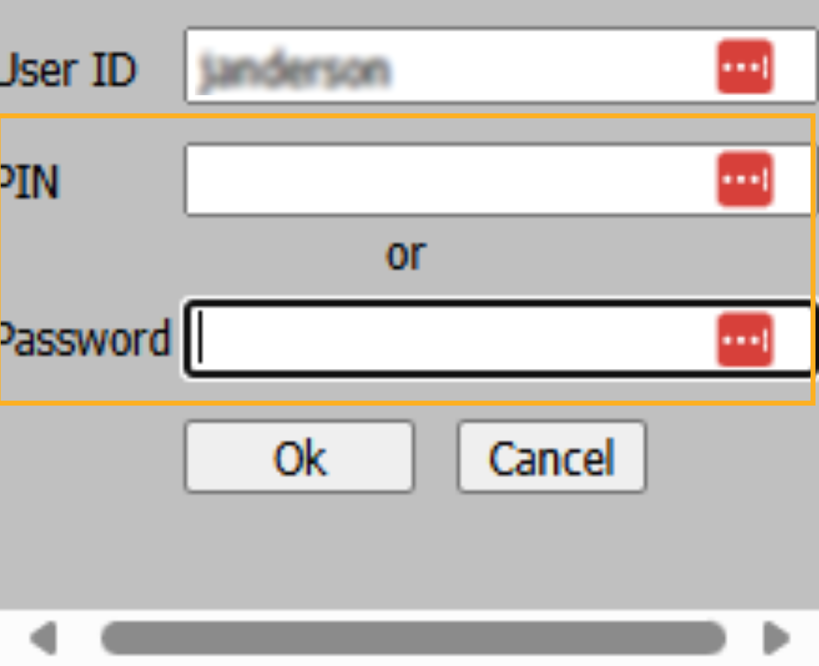 Enter PIN or Password